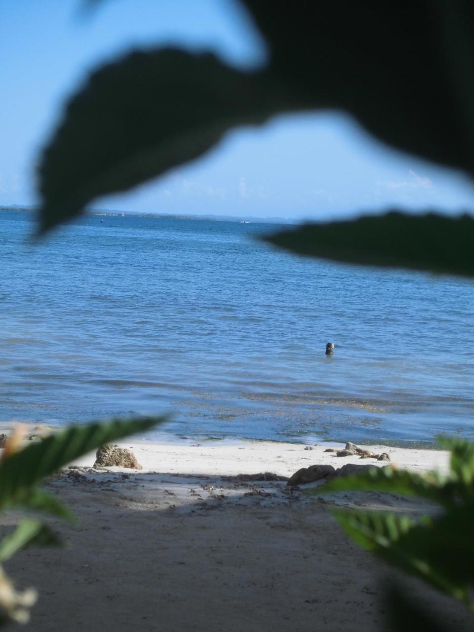 Faro Del Colibri Otel Carenero Dış mekan fotoğraf